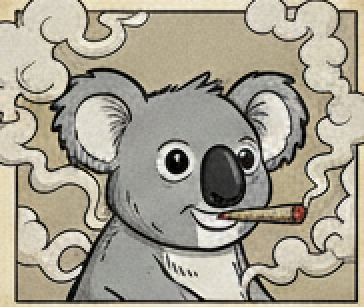 Koala